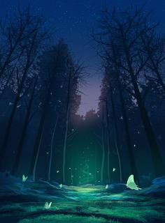 Forest