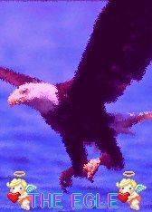 Eagle