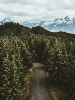 gray asphalt road