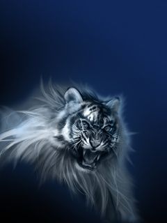 ashishwall 12dqplkv