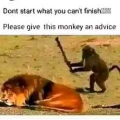 Don t start what you can t finish