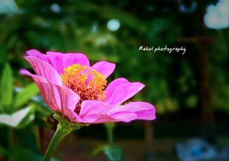 Photography
