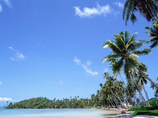 Nature (4)