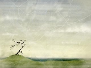 my soul   an anguish and autumn