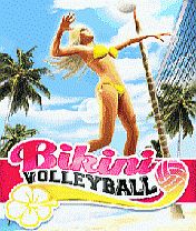 Bikini volley ball