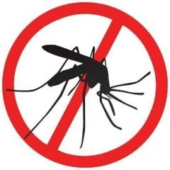 Anty mosquito.jar