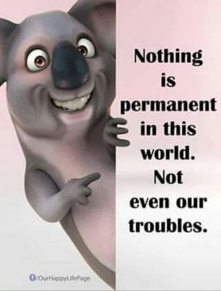 Notin Is Permanent