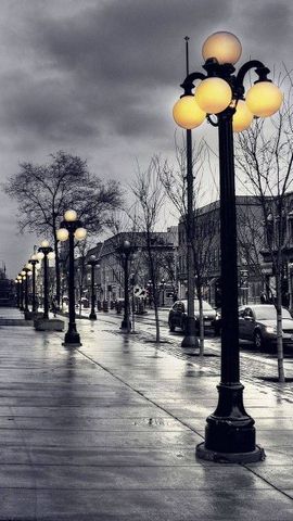 Street Light
