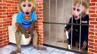 Modern monkeys
