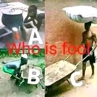 FOOLS
