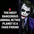 images8