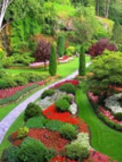 beautiful garden 2