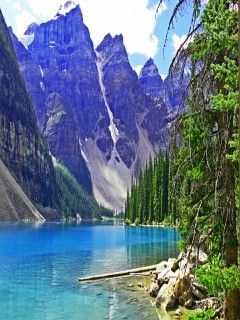nature 2