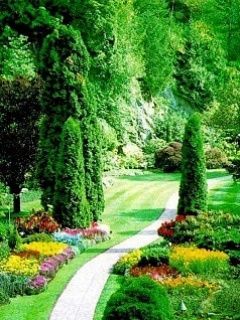 beautiful garden