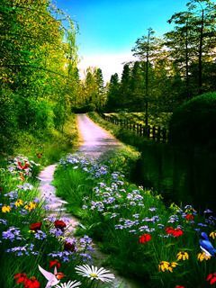flower garden