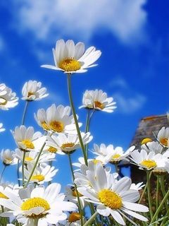 beautiful mother nature