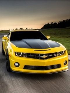 camaro wnGTofqT