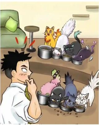 Hashira cats
