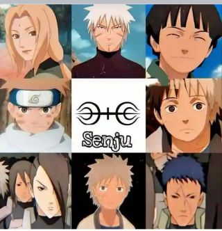 The senju clan