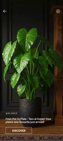 Leaf