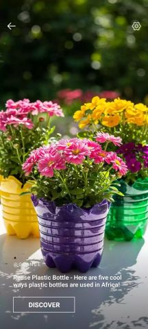 Beauty's flowers