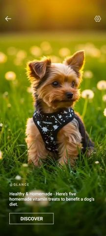 Puppy 2
