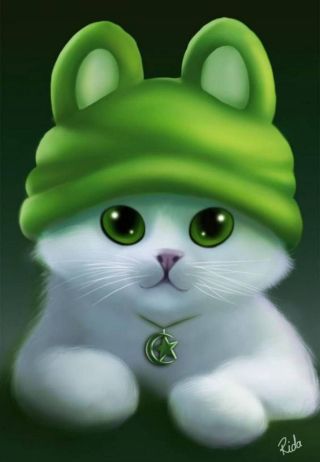 cat 80dfa