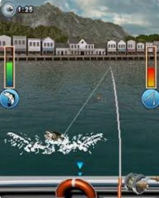 Bass Fishing