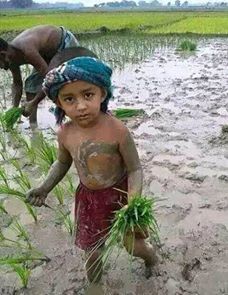 farmer child