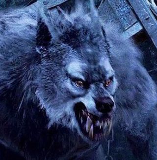 cayolte/omega werewolf