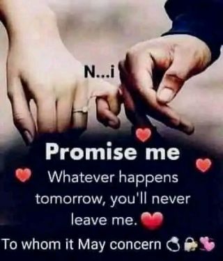 FB IMG 16