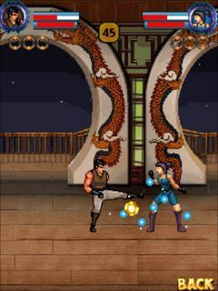 kung fu combat