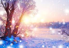 BEAUTIFUL PHOTO