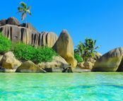 Tropical Paradise