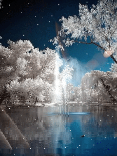 Live Snow wallpaper