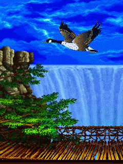 Duck live wallpaper