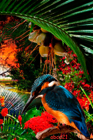 Tropical