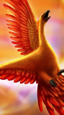 2yxa ru bird lockscreen wallpapers   43j0GToiL