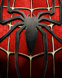 Spider_and_red_web