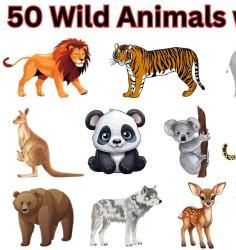 Animals