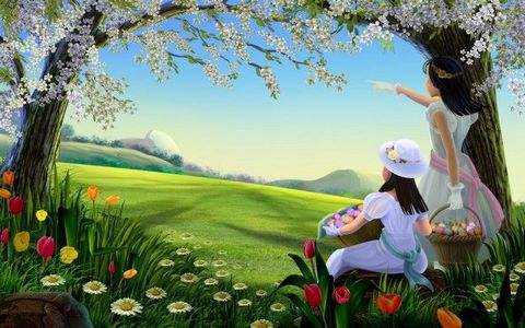 Beatiful Nature Photo