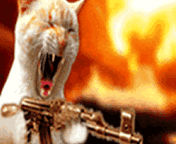 Warrior Cat 01