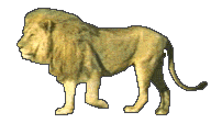$(r)lion (ro
