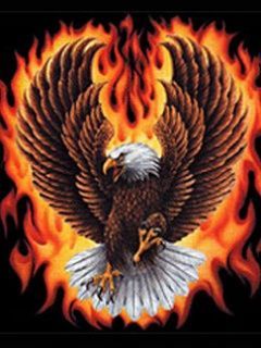 FLAMES EAGLE