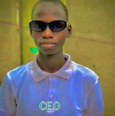CEO PROFI