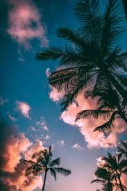 Environme