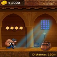 Golden Temple Thief