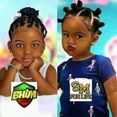 Rasfarow SM vrs Bhim