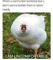 funny