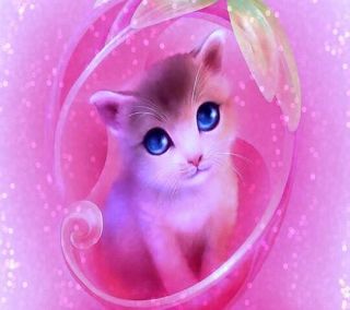 CAT IN PINK